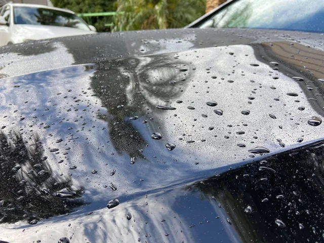 Heavy speckled contamination across a black bonnet